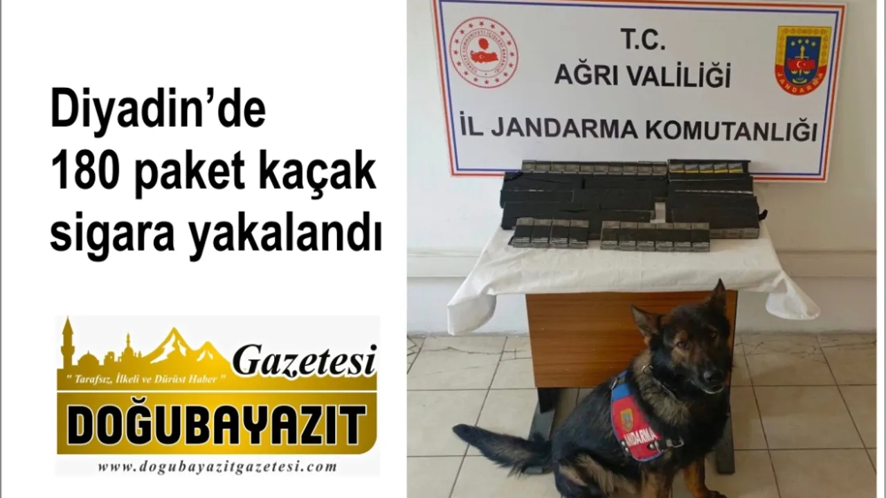 Diyadin’de 180 paket kaçak sigara yakalandı