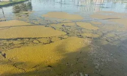 Millet Bahçesi’ndeki süs havuzunda kirlilik tepki çekiyor