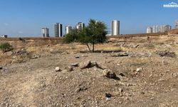Adana'da 35 yaşındaki bir kişi, boş arazide ölü bulundu