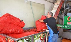 Adıyaman Besni'de geleneksel kış telaşı başladı
