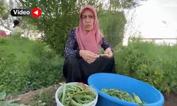 Ağrı'da sonbahar bereketi köy bostanlarında yüzleri güldürdü