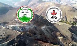 Ağrı Barosu ve İHD Diyadin'deki maden projesine dava açtı