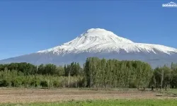 Ağrı Fatih Mahallesi’nde İcralık Taşınmaz Payı
