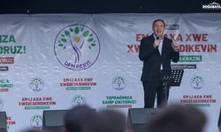 Ağrı’da maden karşıtı miting: Bakırhan Murat Nehri için uyardı