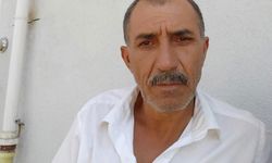 Arı sokması sonrası kalbi durdu, hayatını kaybetti