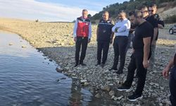 Diyarbakır'ın Dicle ilçesindeki Kralkızı Barajı'na 820 bin yavru balık salındı