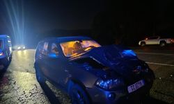Bingöl-Karlıova yolunda otomobilin çarptığı at telef oldu