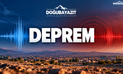 Van'da peş peşe iki deprem