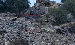 Diyarbakır'da koruma altındaki dağ keçileri görüntülendi