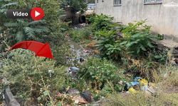 Doğubayazıt’ta dere çilesi: Mahalle sakinleri camlarını açamıyor