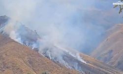 Elazığ'ın Palu ilçesindeki Akdağ mera alanında yangın çıktı