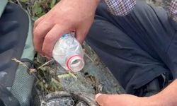 Elazığ'ın Palu ilçesindeki yangında kaplumbağa kurtarıldı
