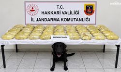Hakkâri'de 21 kilo metamfetamin ele geçirildi