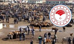 Ağrı Hayvan Borsası Kapatıldı! Müdür Yalanlamıştı, Resmi Açıklama Geldi