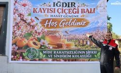 Iğdır'da kayısı çiçeği balı hasadı yapıldı