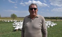 Kars'ta başkanlığı bıraktı, kaz yetiştirmeye başladı