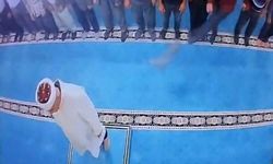 Namaz sırasında kediyi tekmeleyen şahıs serbest bırakıldı