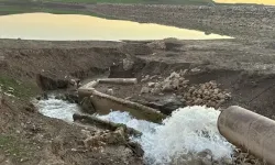 Siirt'te sulama havuzuna giren iki kardeşten biri yaşamını yitirdi