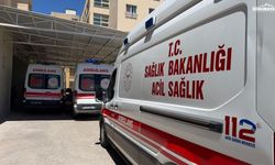 Siverekli fındık işçileri Düzce’de kazaya kurban gitti