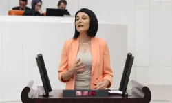 Ağrı'daki trafik kazaları Meclis gündeminde