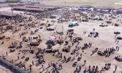 Ağrı'da besiciye nefes aldıracak karar: Canlı hayvan pazarı açılıyor