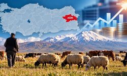 Ağrı'da en çok para kazandıran meslek açıklandı
