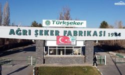 Ağrı'da şeker pancarı alım fiyatı belli oldu
