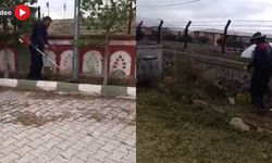 Doğubayazıt’ta kış öncesi yabancı ot temizliği yapılıyor