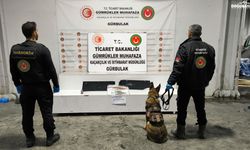 Doğubayazıt'ta valizlerin plastik aksamına uyuşturucu gizlediler
