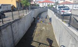 Eleşkirt Deresi Atıklardan Arındırıldı