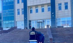 Kars merkezli iki ikamete eş zamanlı baskın düzenlendi