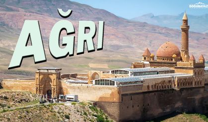 Ağrı'da Kaç Tane Mahalle Bulunuyor?