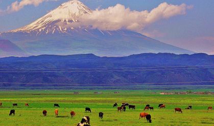 Ağrı'nın İklimi Nasıldır?