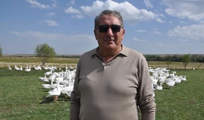 Kars'ta başkanlığı bıraktı, kaz yetiştirmeye başladı