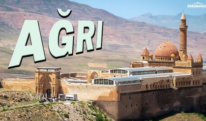 Ağrı Fatih Mahallesi Taşınmaz Hissesi İcradan Satışta