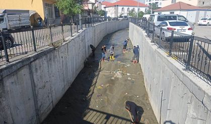 Eleşkirt Deresi Atıklardan Arındırıldı