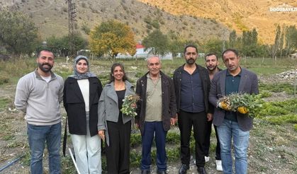 Hakkari Zap Vadisi'nde ilk kez yer fıstığı yetiştirildi