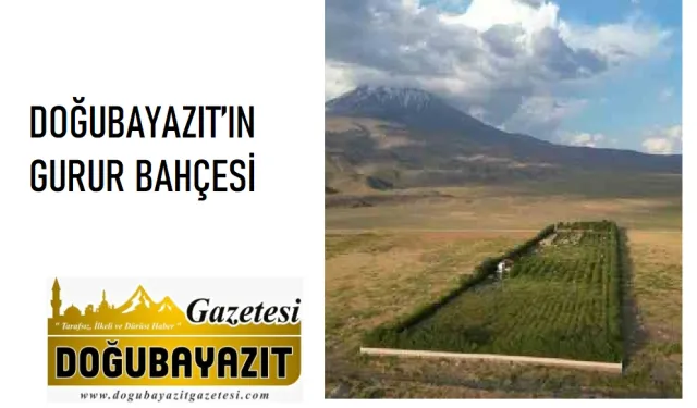 DOĞUBAYAZIT’IN GURUR BAHÇESİ