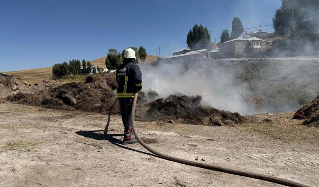Çaldıran'da kuru otlar alevlere teslim oldu
