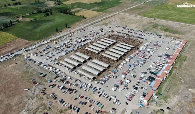 Bölgenin en büyük pazarına şap engeli: Şarkışla'da faaliyetler durduruldu