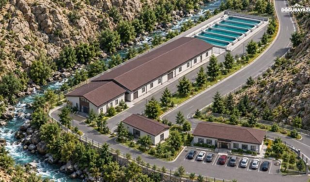 Van'da 300 milyon yumurta ve 100 milyon yavru balık üretilecek