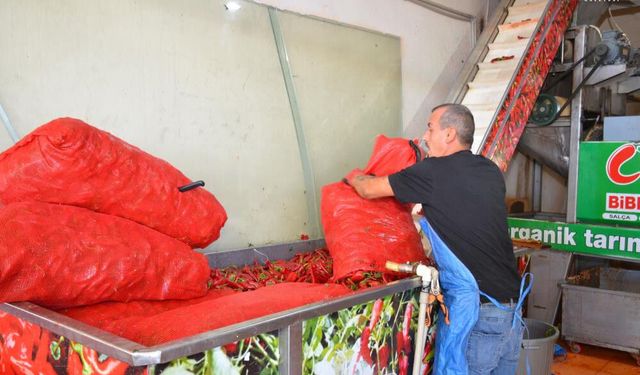 Adıyaman Besni'de geleneksel kış telaşı başladı