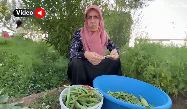 Ağrı'da sonbahar bereketi köy bostanlarında yüzleri güldürdü