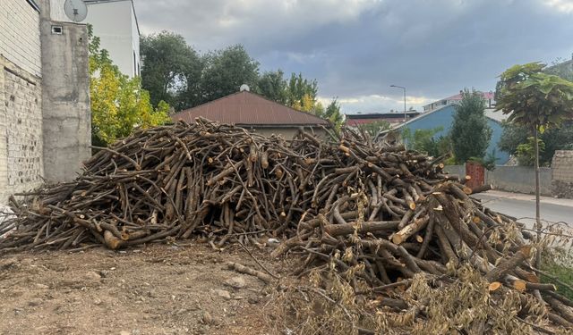 Ağrı Patnos’ta soğuklar başladı, vatandaş oduna yöneldi
