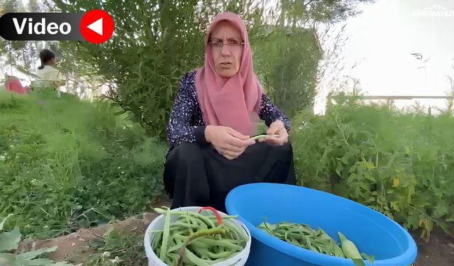 Ağrı'da sonbahar bereketi köy bostanlarında yüzleri güldürdü