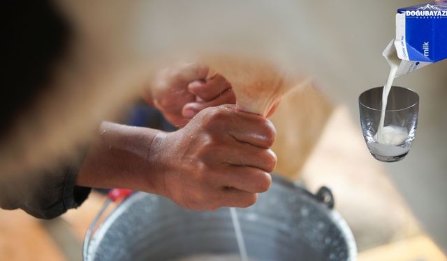 Ağrı’da süt etiketleri değişiyor: Glikoz ve fruktoz şurubu yasaklandı