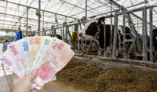Ağrı’daki çiftçilere müjde: Destek ödemeleri hesaplara aktarılıyor