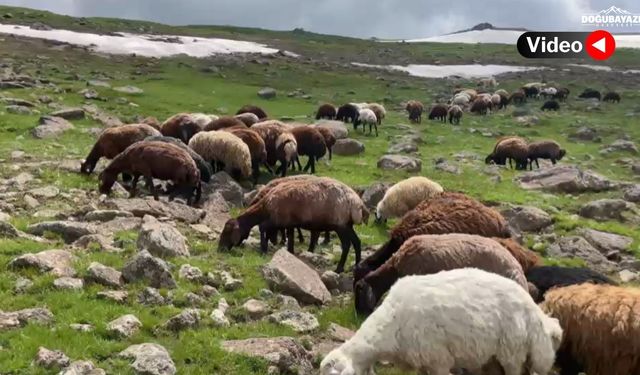 Ağrı'nın Çakırbey Yaylası'nda iki mevsim bir arada yaşanıyor