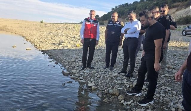 Diyarbakır'ın Dicle ilçesindeki Kralkızı Barajı'na 820 bin yavru balık salındı