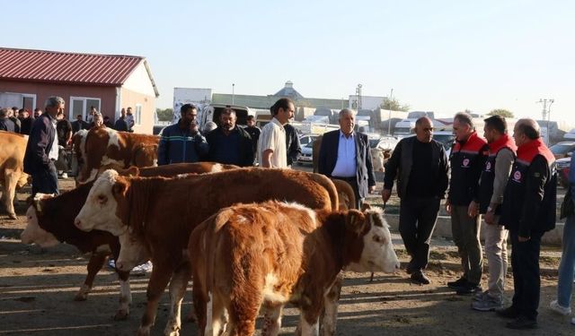 Kars Hayvan Pazarı'nda denetimler sıkılaştırıldı